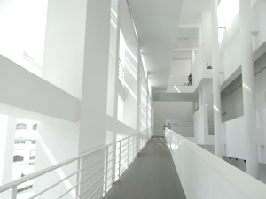d0079151_118286.jpg