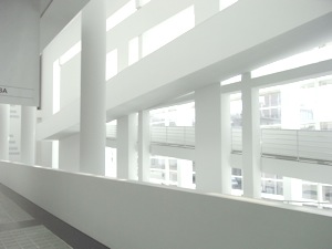 d0079151_1183632.jpg