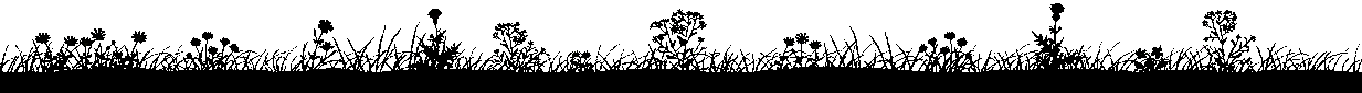 b0133752_16425388.gif