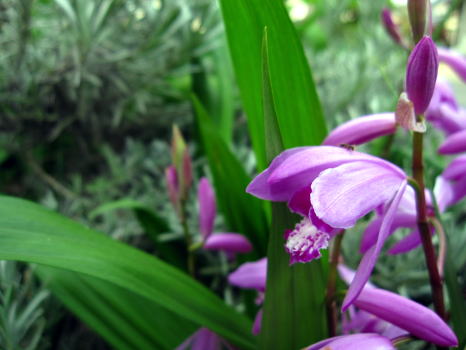 c0147952_208288.jpg