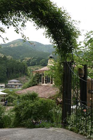 d0093459_21535144.jpg