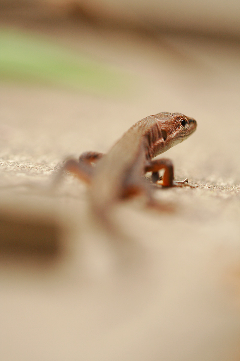 d0148060_20511399.jpg
