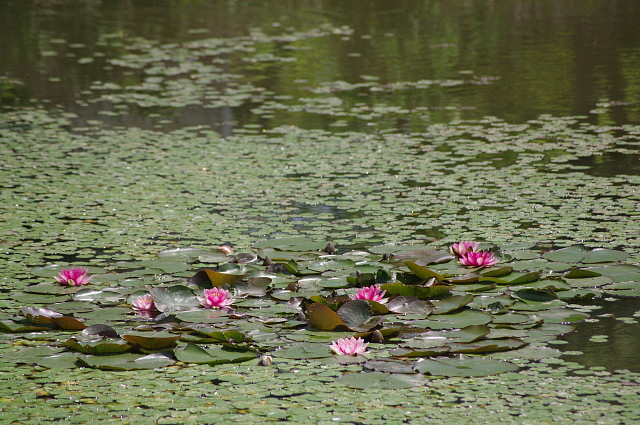 f0222161_1042242.jpg