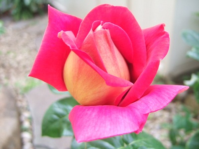 e0225164_6431443.jpg