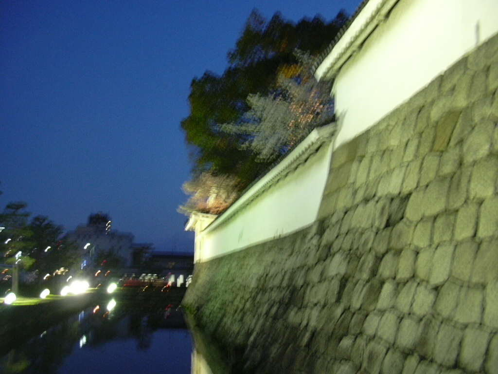 f0020564_00458.jpg