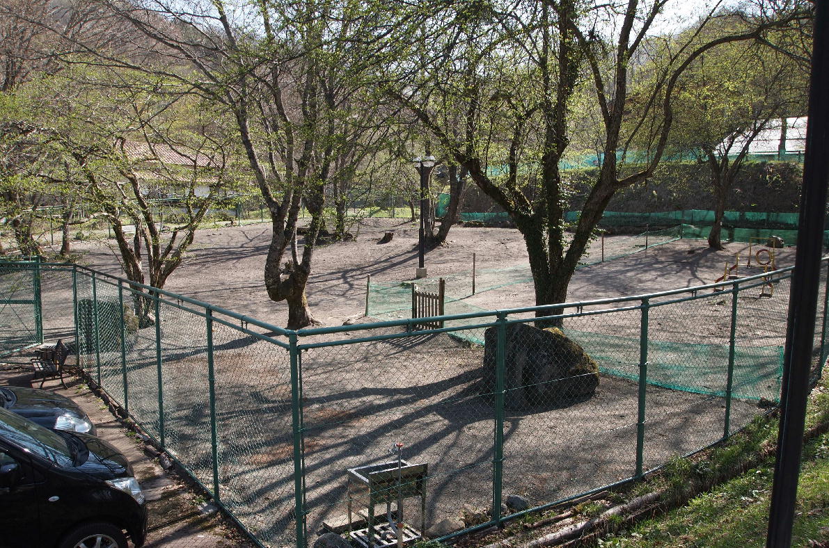 d0216270_23552230.jpg