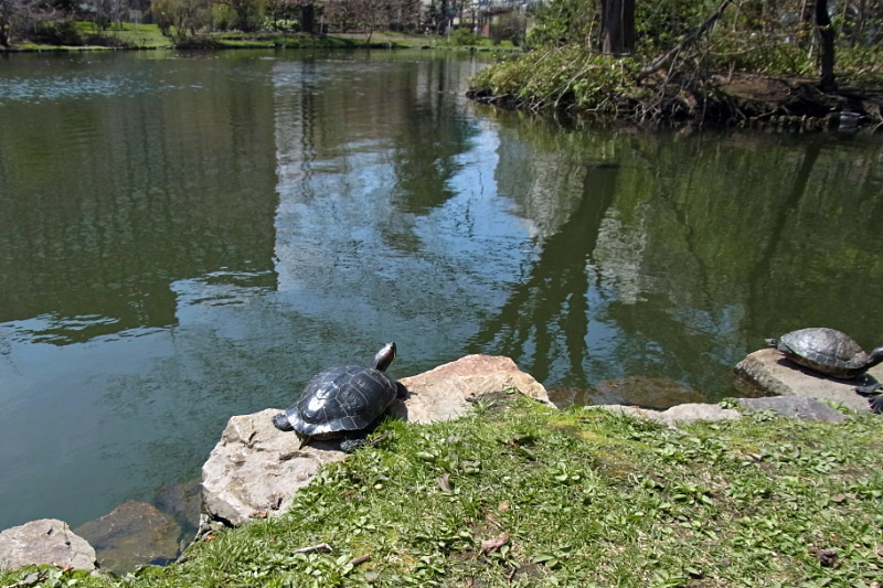 e0100772_22533595.jpg