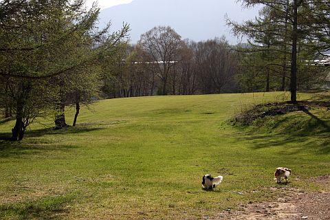 f0047773_2147176.jpg