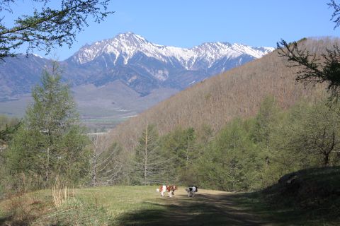 f0047773_21522182.jpg