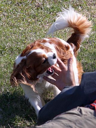 f0047773_2153429.jpg
