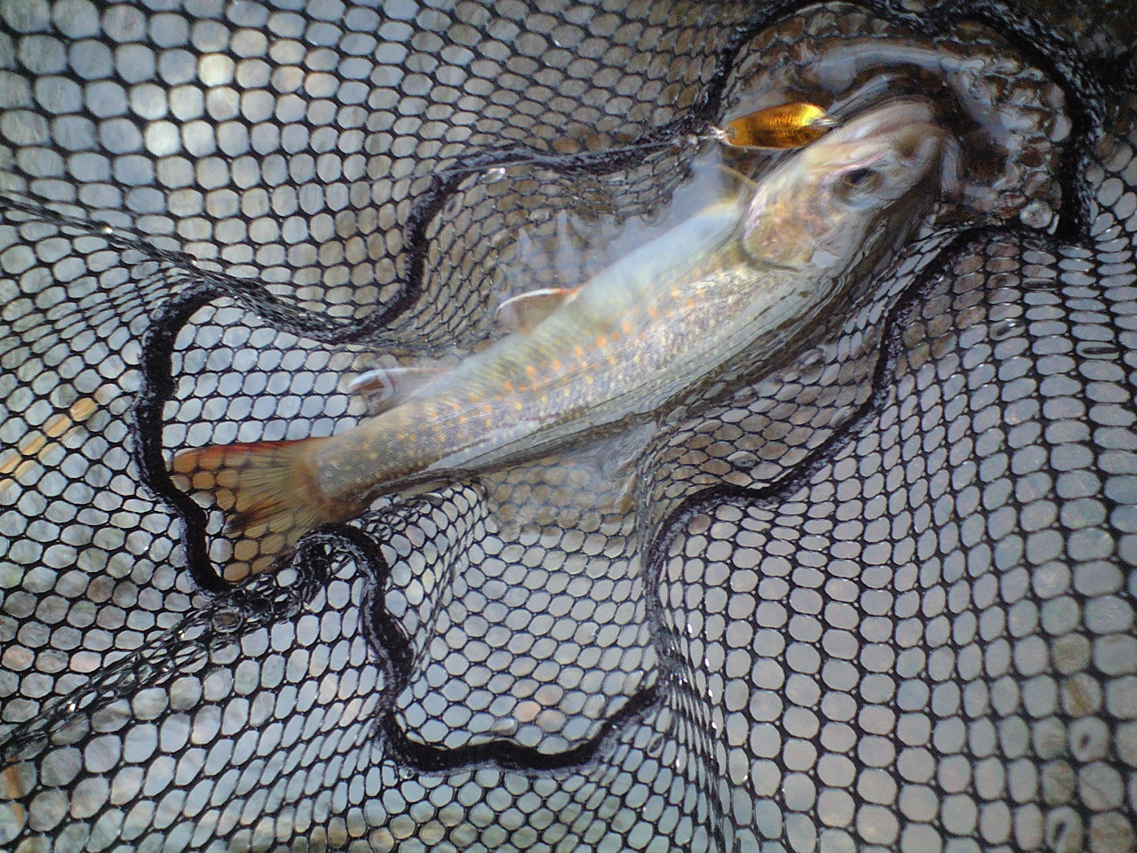 a0093677_20164594.jpg