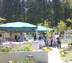 b0138478_11523121.jpg