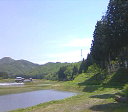 b0138478_12192098.jpg