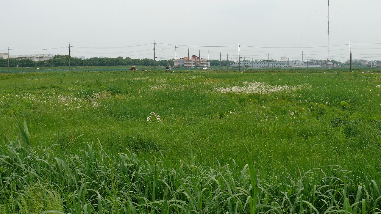 a0185081_20492040.jpg
