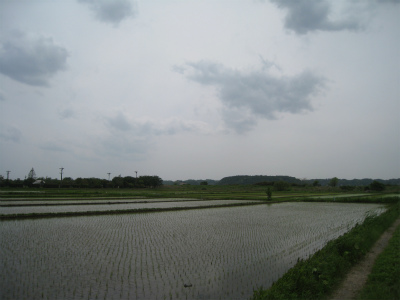 a0038882_16323394.jpg