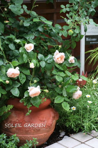 e0154682_038779.jpg