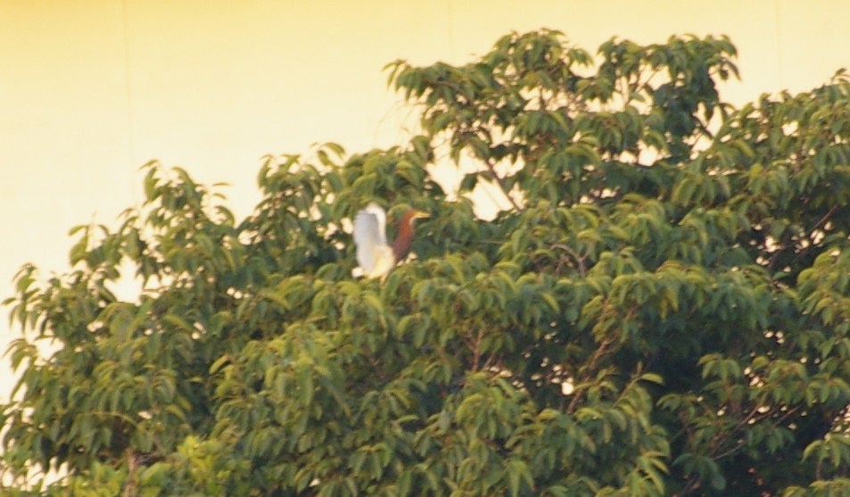 e0197884_21531825.jpg