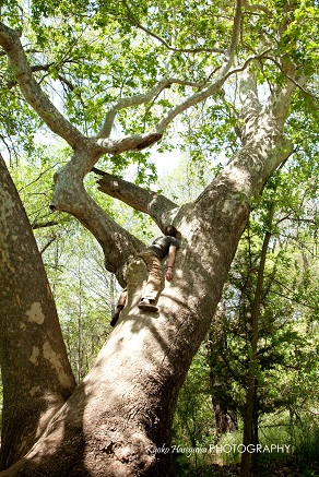 e0148185_83420100.jpg