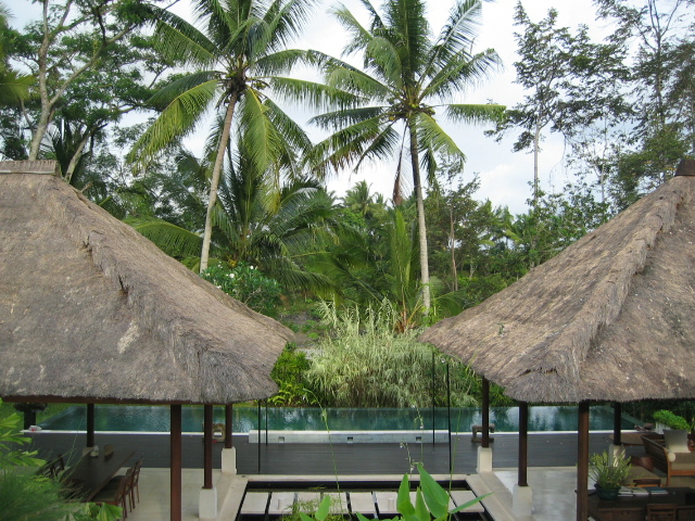 a0154887_944632.jpg