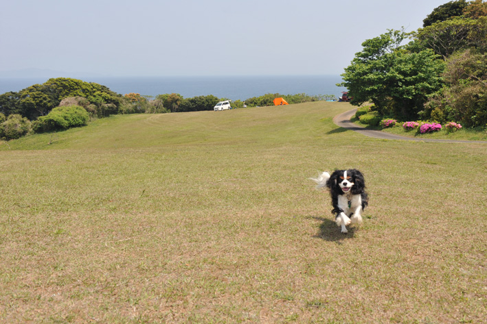f0112087_1351777.jpg