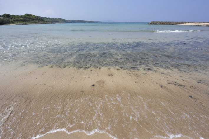 f0112087_1354016.jpg