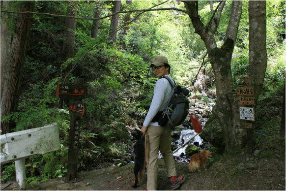 c0171790_1473877.gif