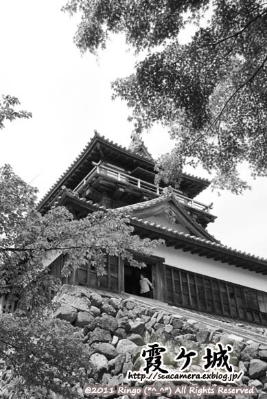 d0188392_2312391.jpg