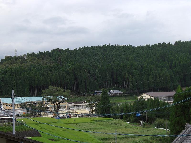 c0018195_17235549.jpg