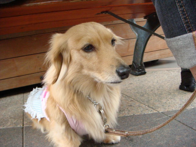 d0098295_23135763.jpg