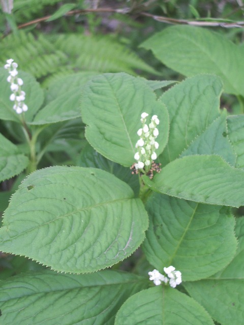 e0025300_18122051.jpg