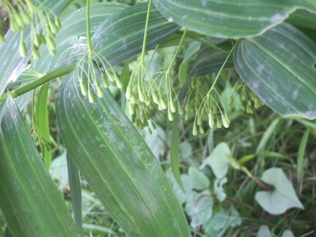 e0025300_18191783.jpg