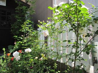 c0152002_9541834.jpg