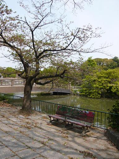 b0205303_1246633.jpg