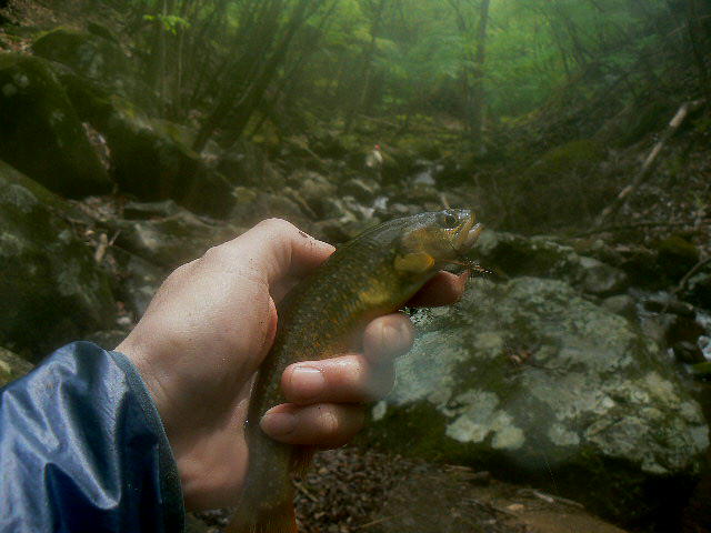 f0164503_08927.jpg
