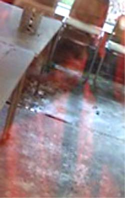 e0103408_19374784.jpg