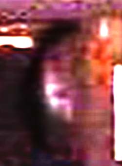 e0103408_2011089.jpg