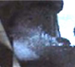 e0103408_2021097.jpg