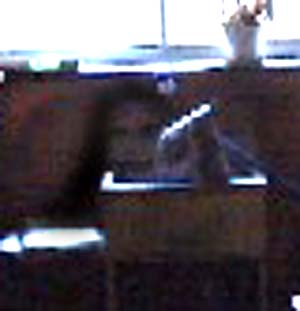 e0103408_2022754.jpg