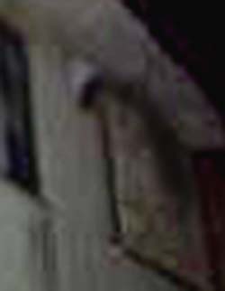e0103408_2053655.jpg