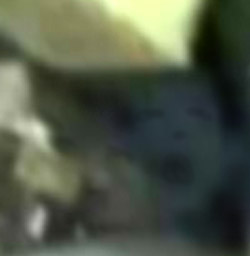 e0103408_63682.jpg