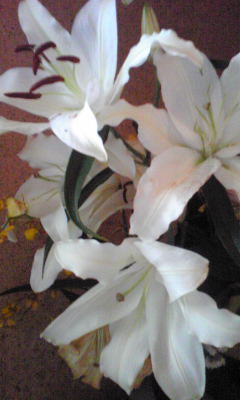c0180209_20421721.jpg