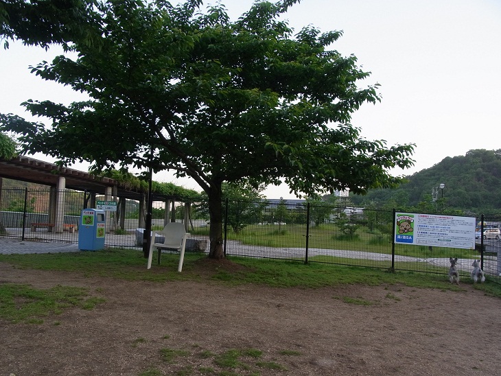 f0179209_11392961.jpg