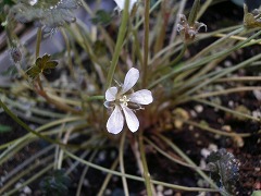 c0190010_1821262.jpg