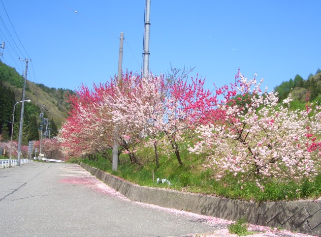 e0033713_910280.jpg
