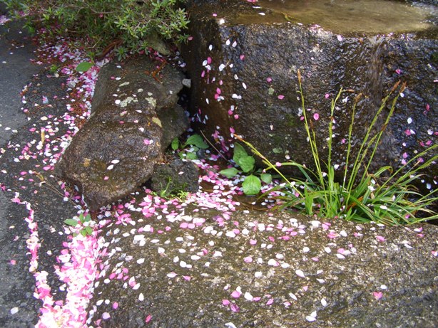 e0033713_934663.jpg