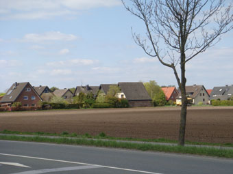c0107615_1410194.jpg