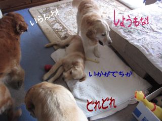 b0008217_1733413.jpg