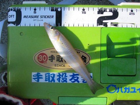 b0186119_17244236.jpg