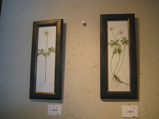 e0170519_020231.jpg