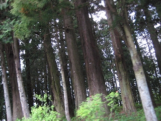 e0170519_0225423.jpg